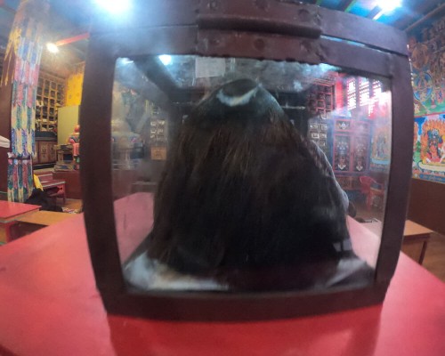 Yeti Scalp At Khumjung
